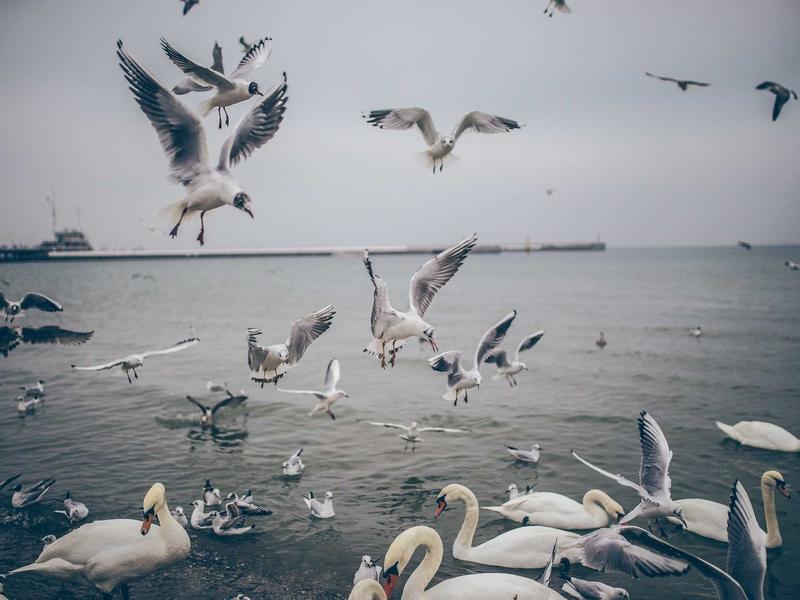 sudoku monthly tournament screenshot 1